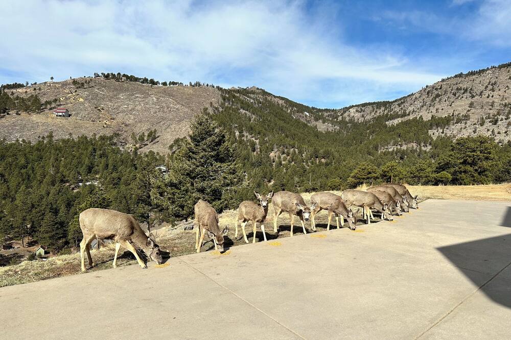 Photo of Outdoor in Boulder