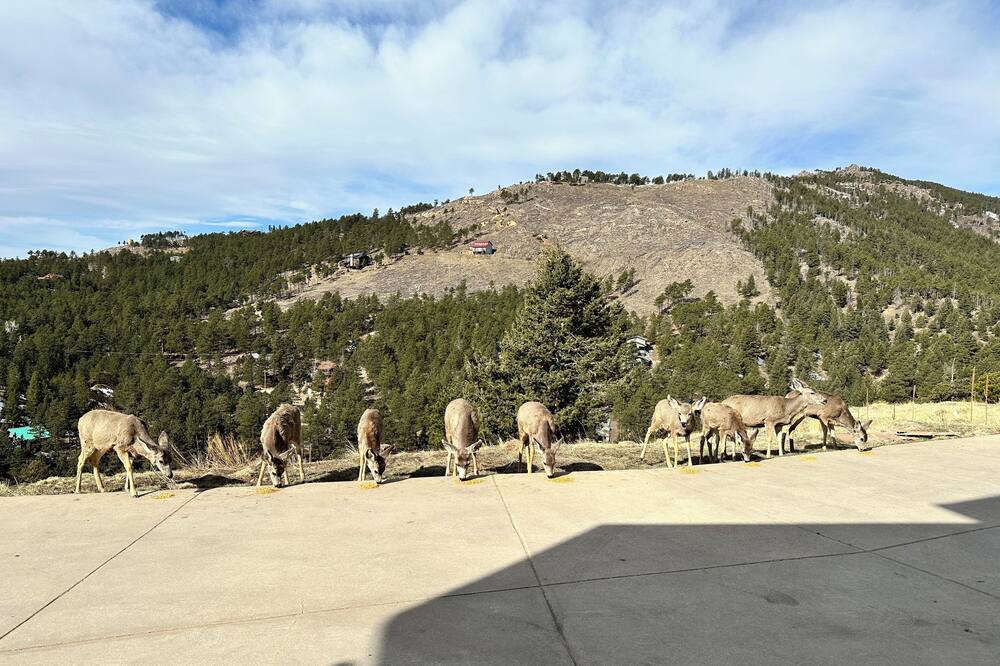 Photo of Outdoor in Boulder