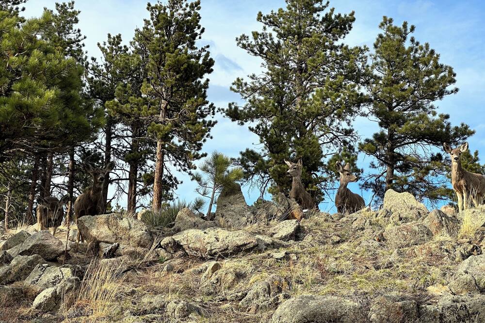 Photo of Outdoor in Boulder