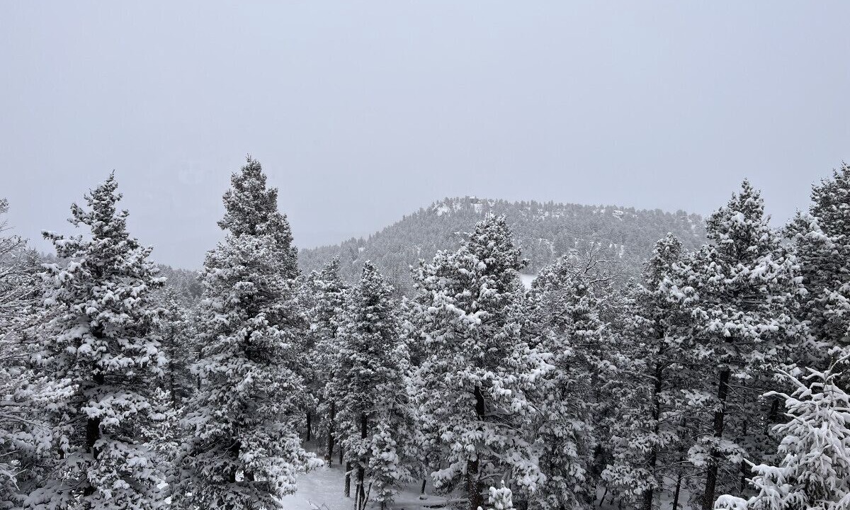 Photo of Others in Evergreen