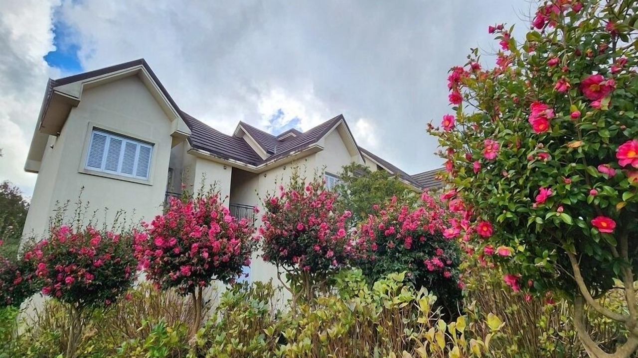 Photo of Outdoor in Jocheon