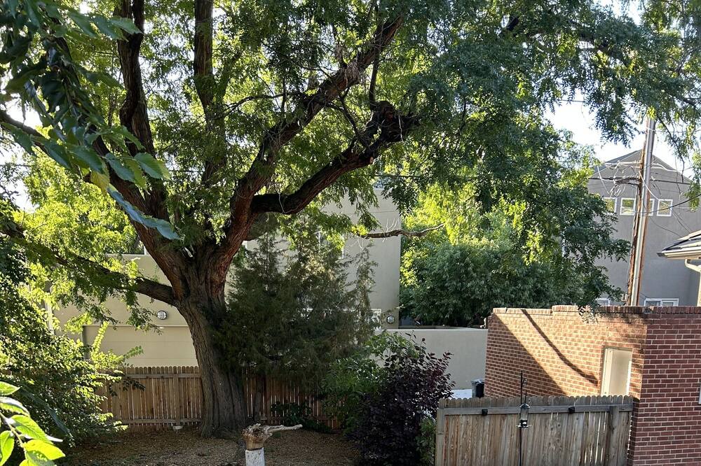 Photo of Outdoor in Cherry Creek