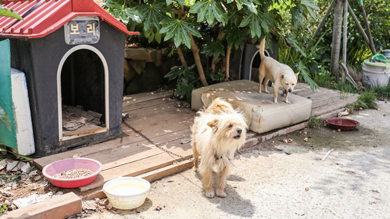 Photo of Outdoor in Yanghwa