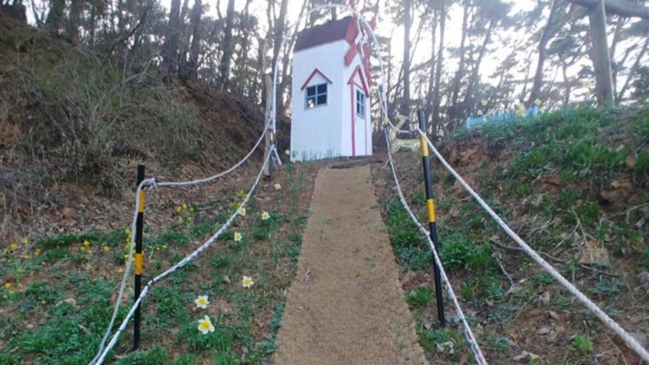 Photo of Others in Taean