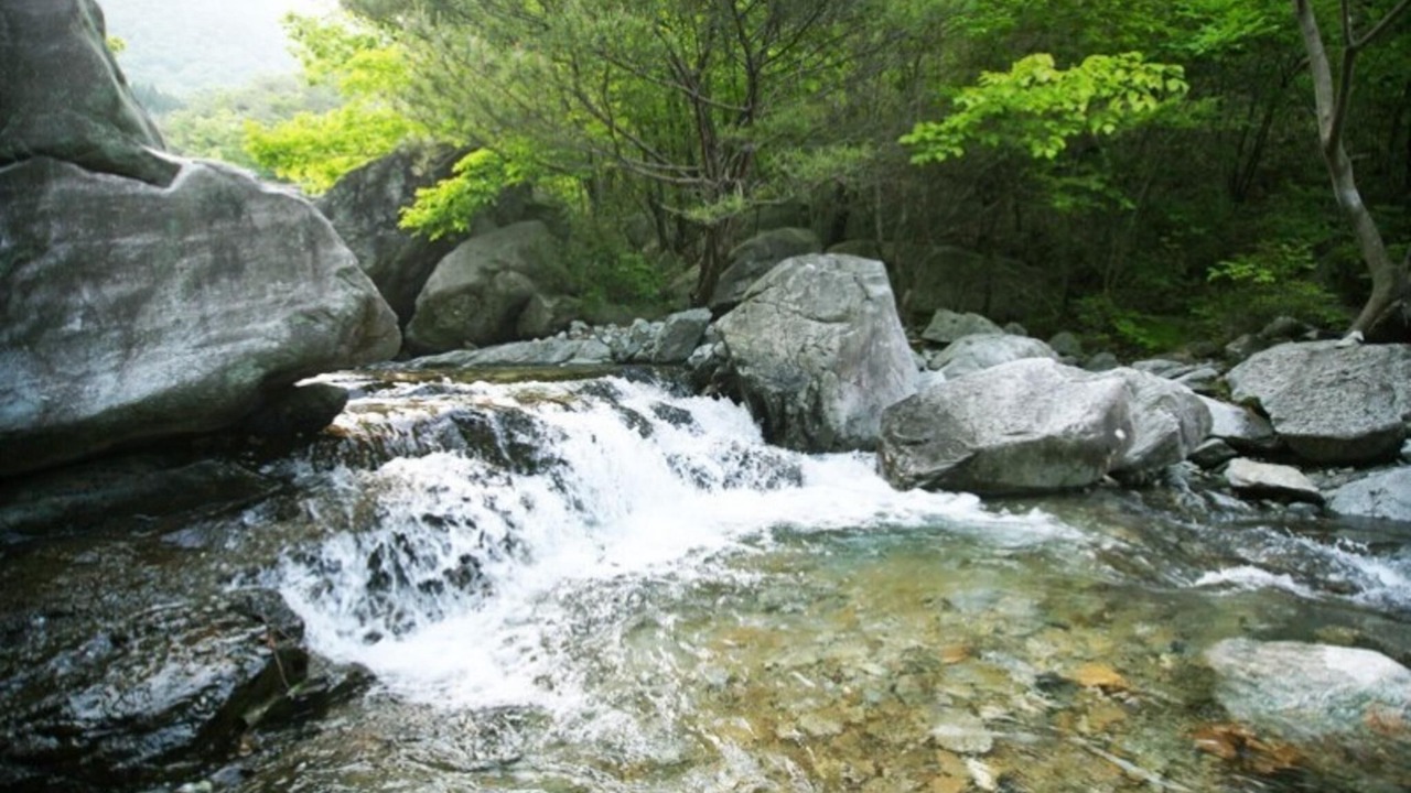 Photo of Others in Sancheong