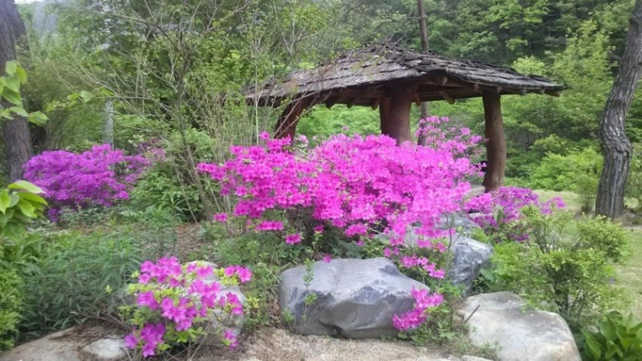 Photo of Others in Danyang