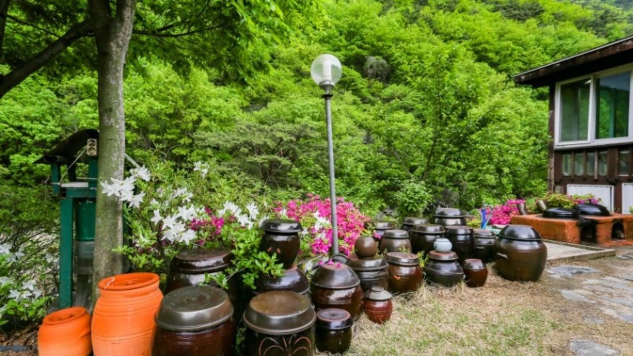 Photo of Others in Danyang
