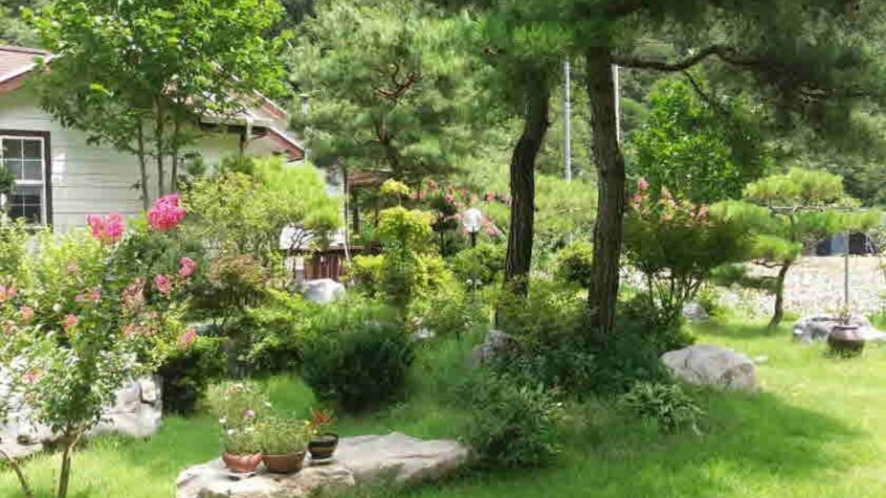 Photo of Others in Danyang