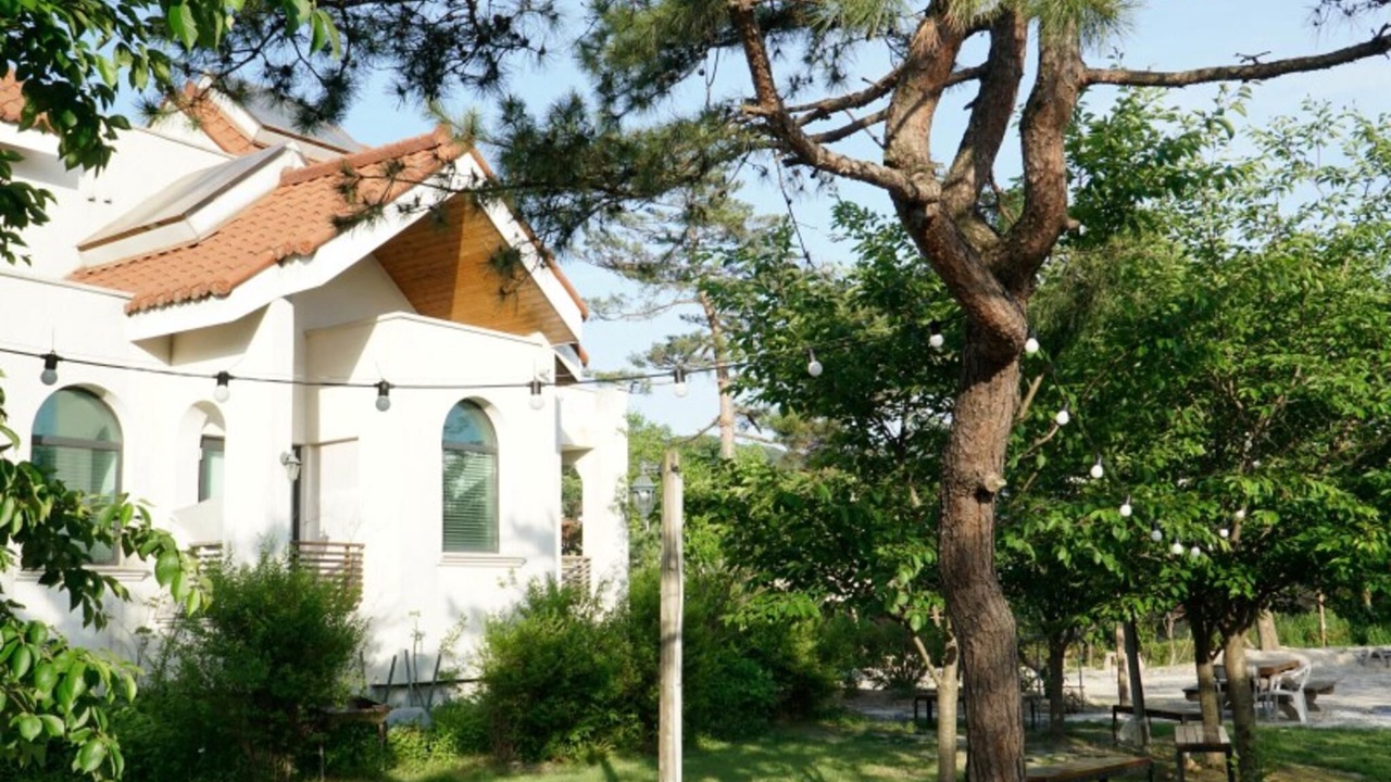 Photo of Others in Pocheon