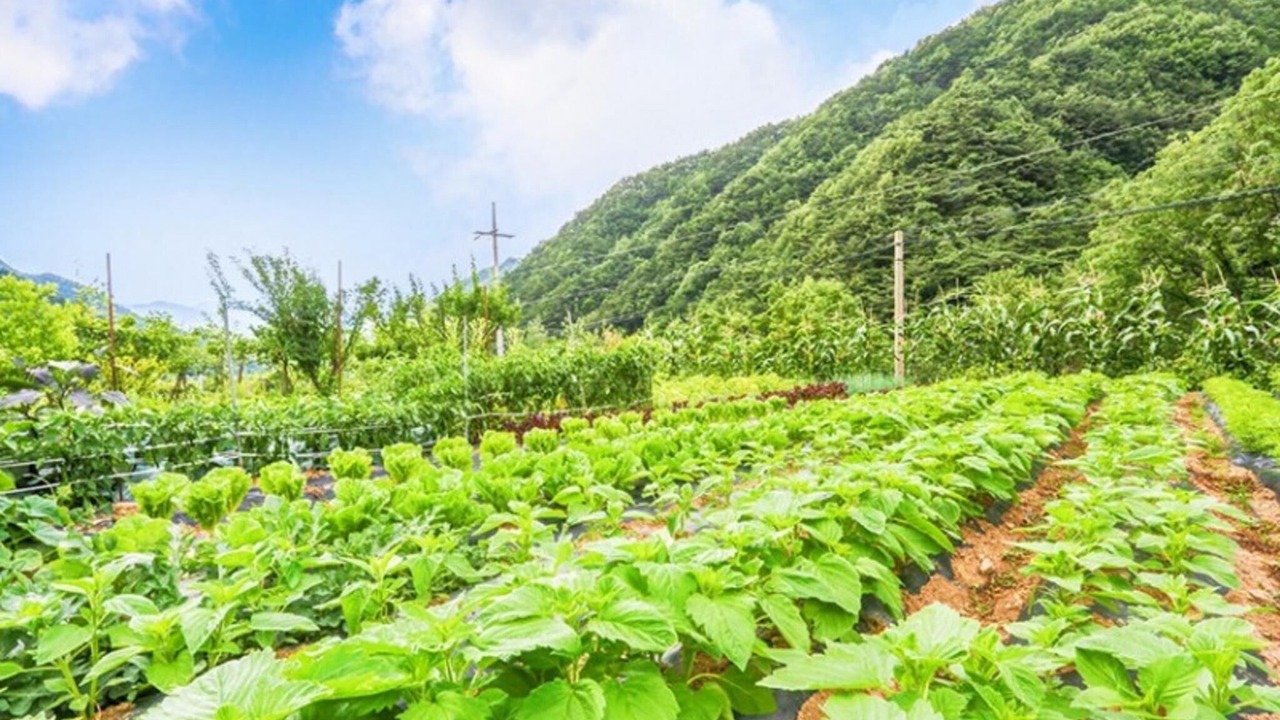 Photo of Others in Danyang