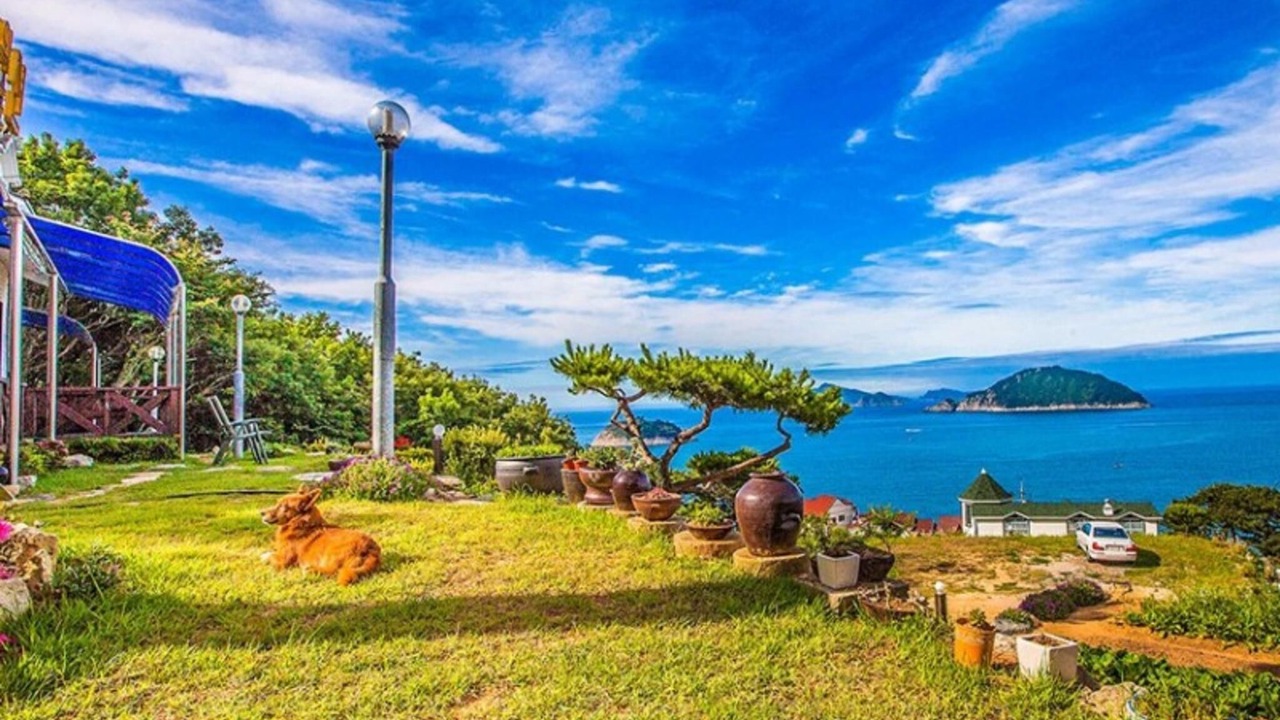 Photo of Others in Geoje