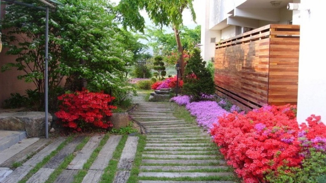 Photo of Others in Yongmun