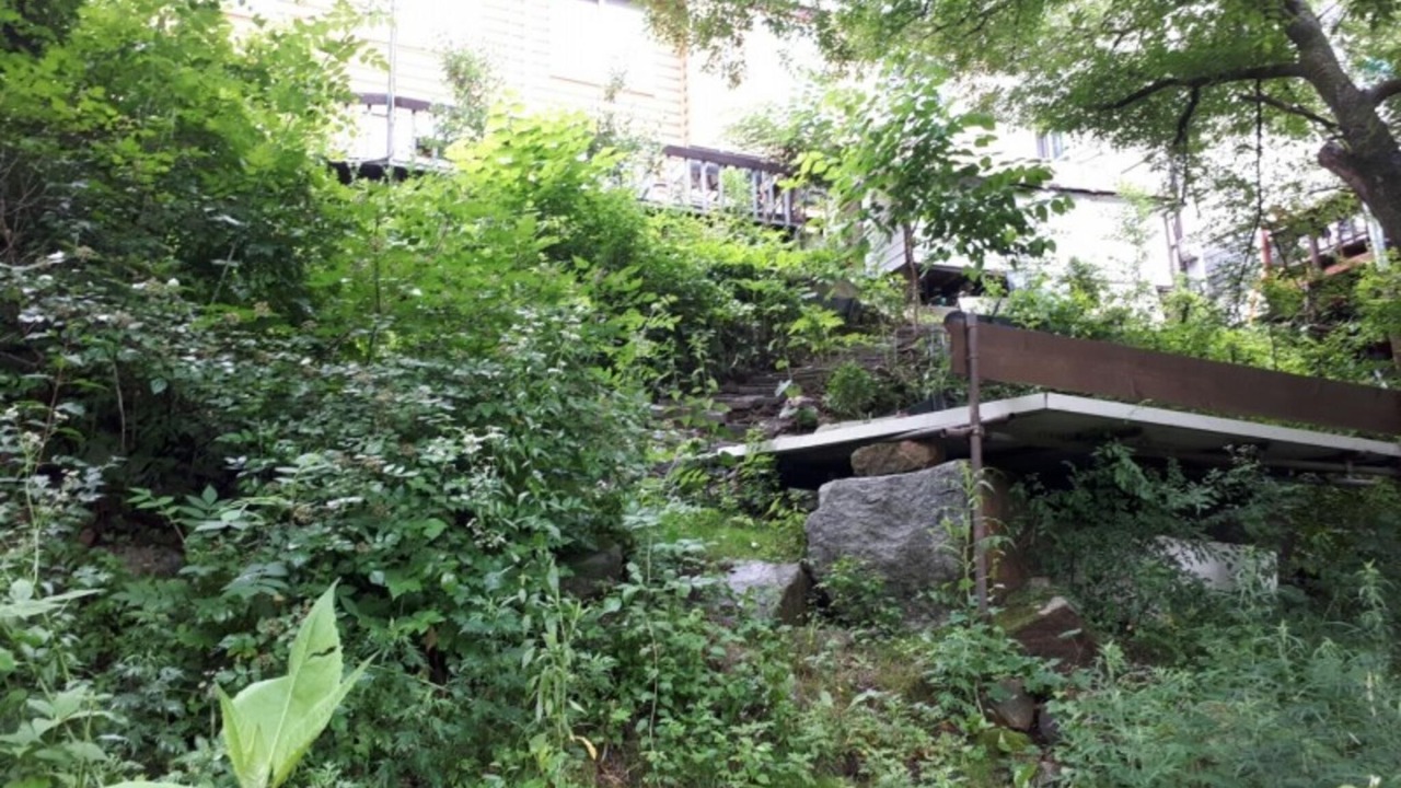Photo of Others in Bongpyeong
