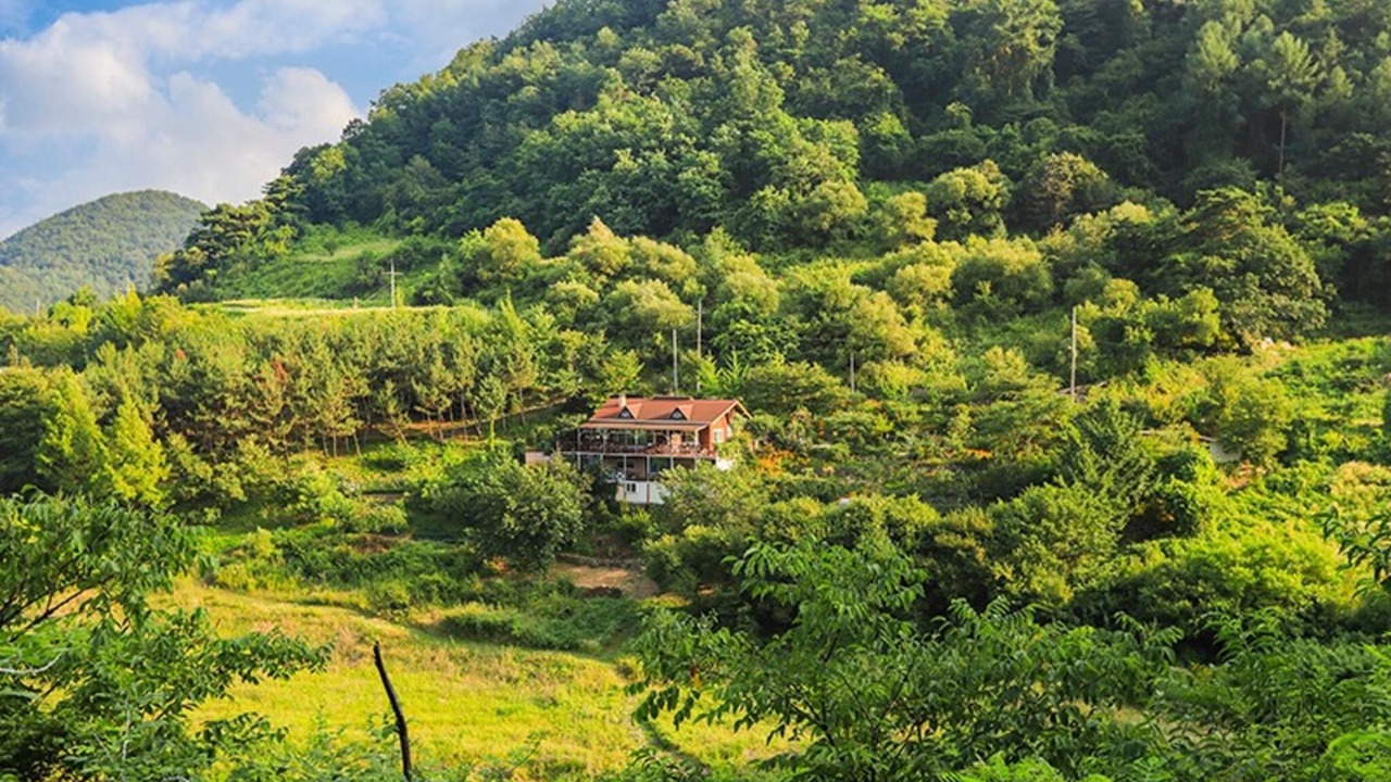 Photo of Others in Jecheon