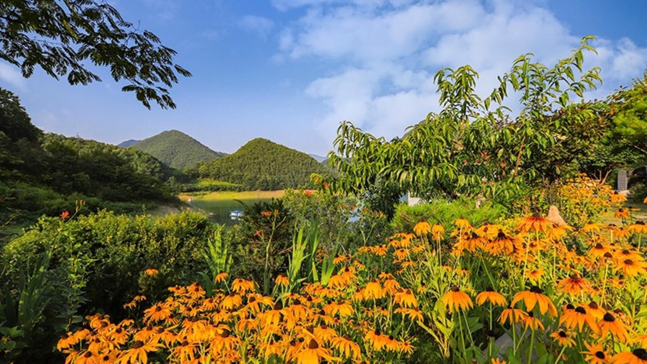Photo of Others in Jecheon