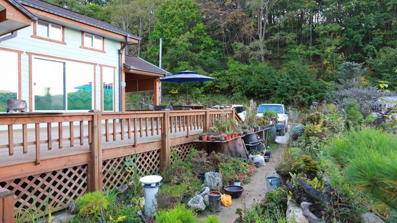 Photo of Others in Yanggu