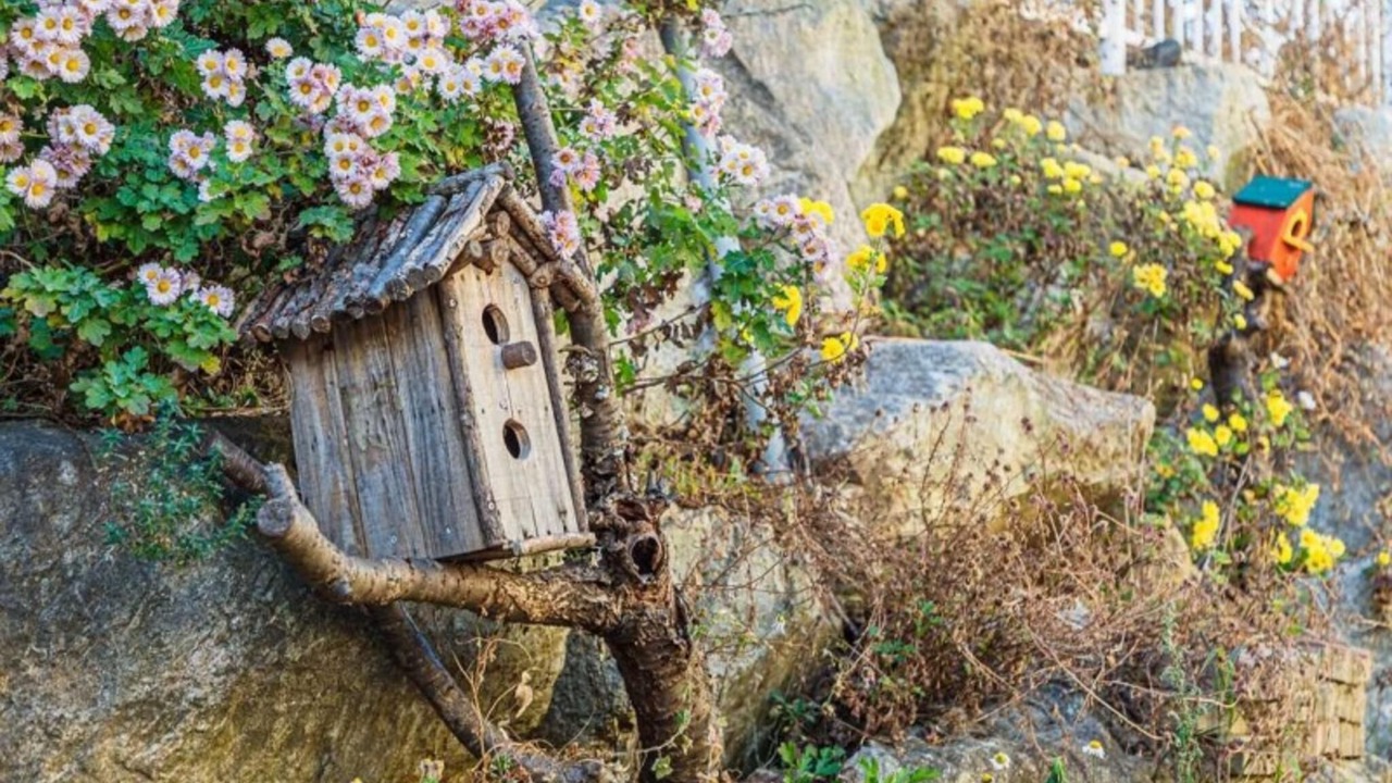 Photo of Others in Sokcho