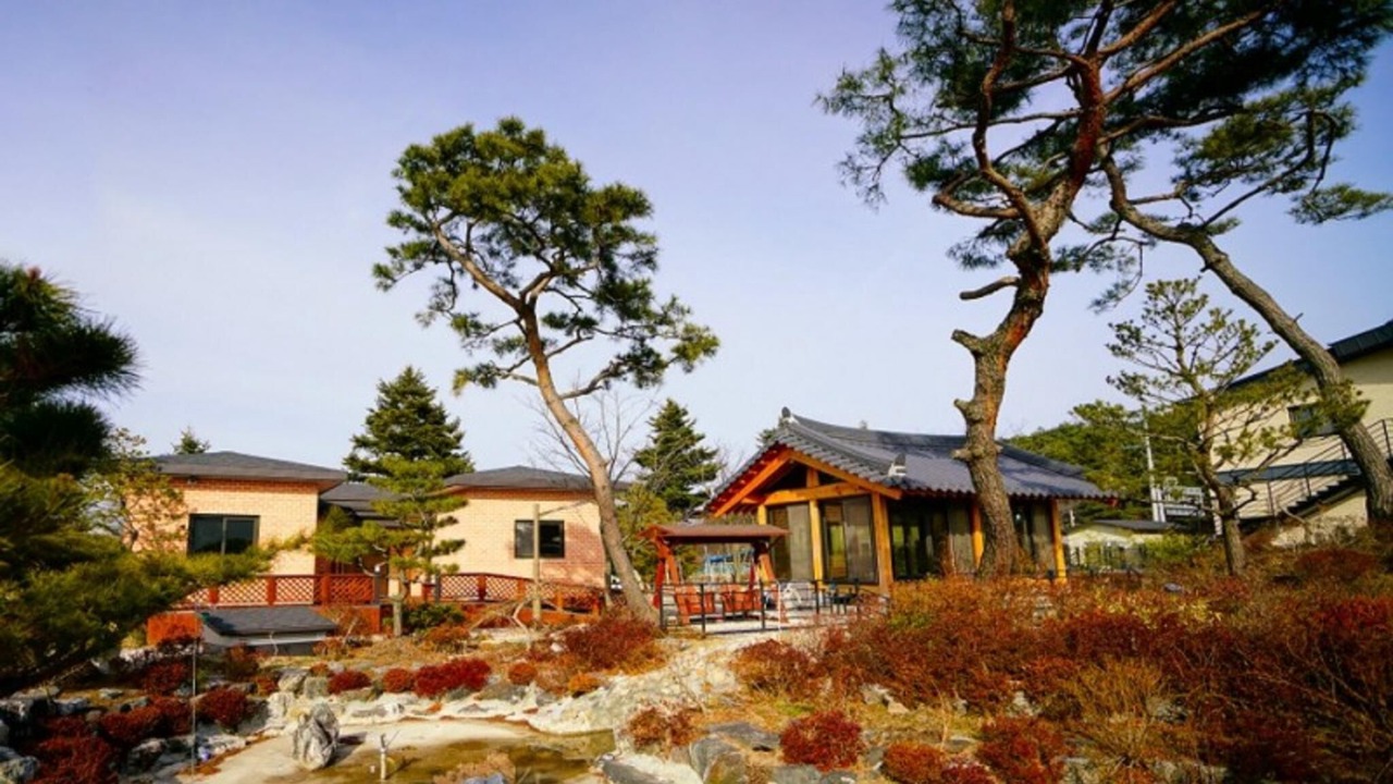 Photo of Others in Jeongeup