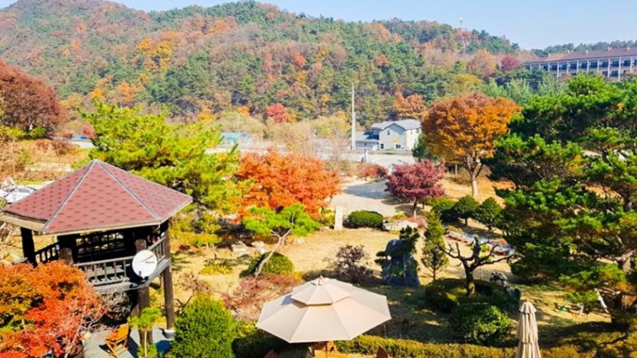 Photo of Others in Chungju
