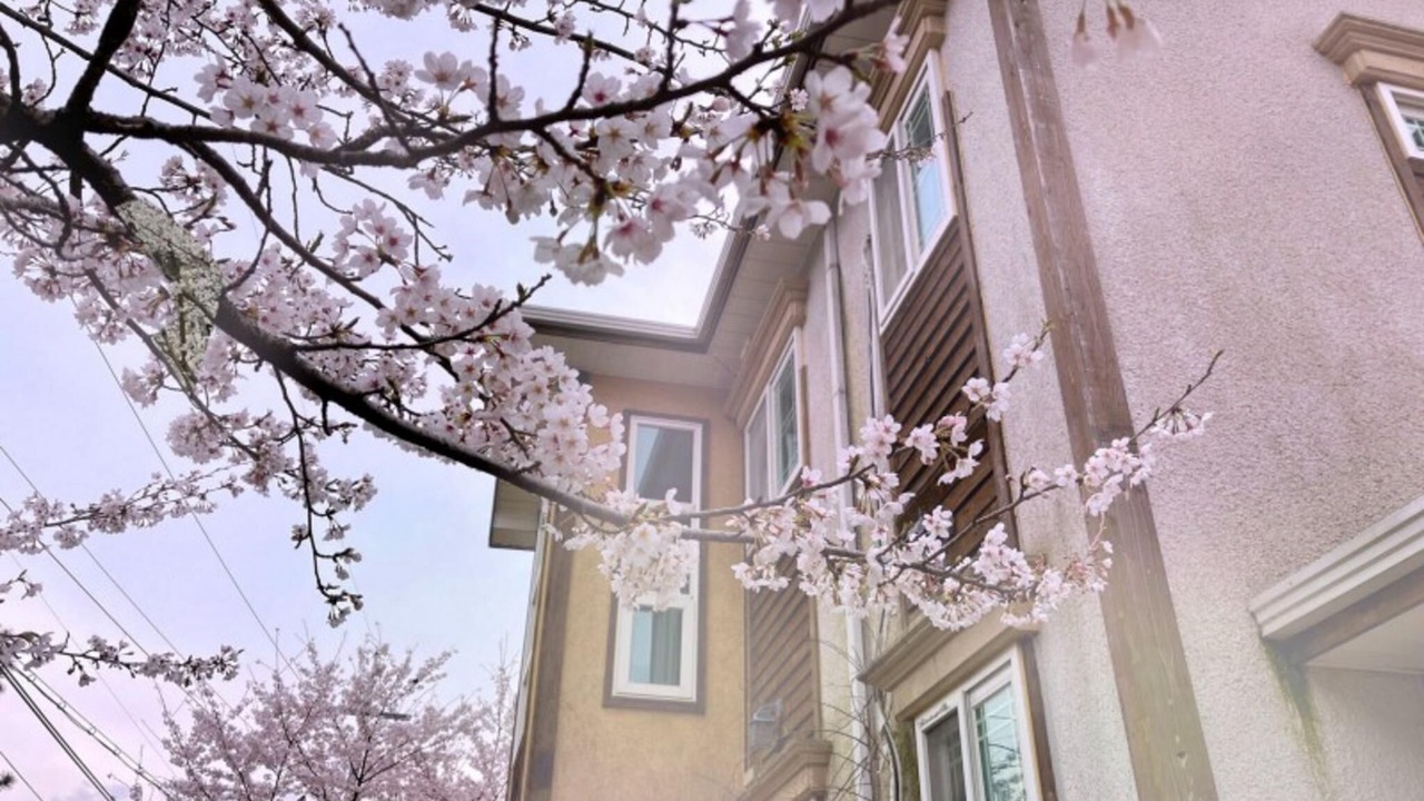 Photo of Others in Sacheon