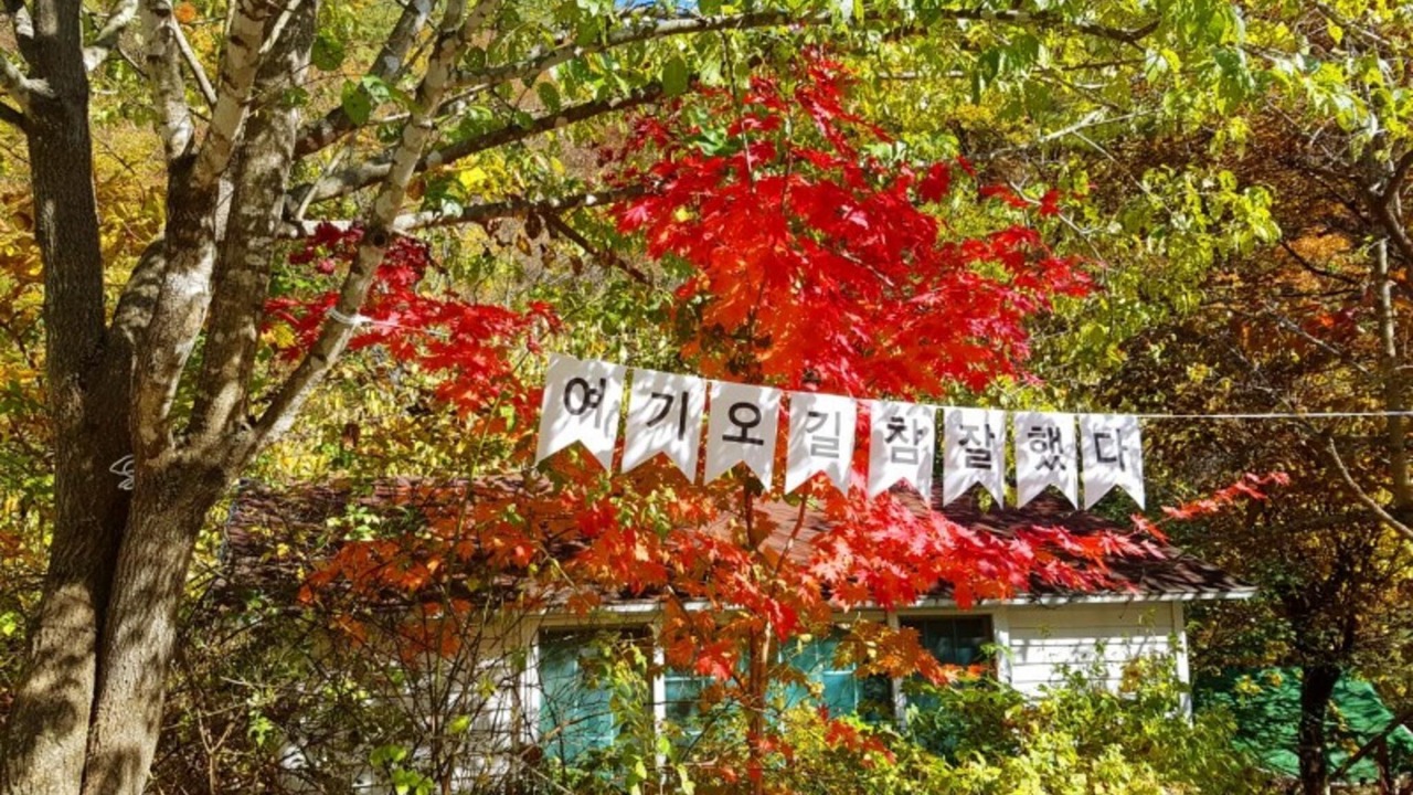 Photo of Others in Miryang