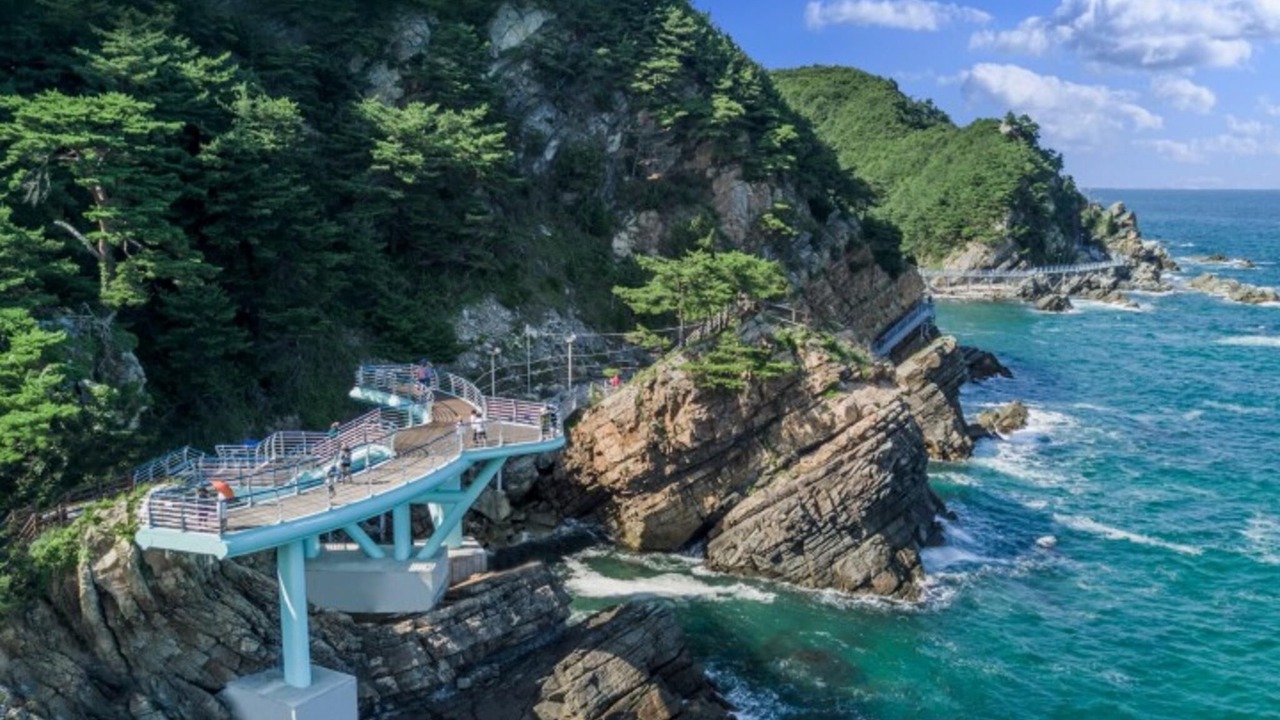 Photo of Others in Gangneung