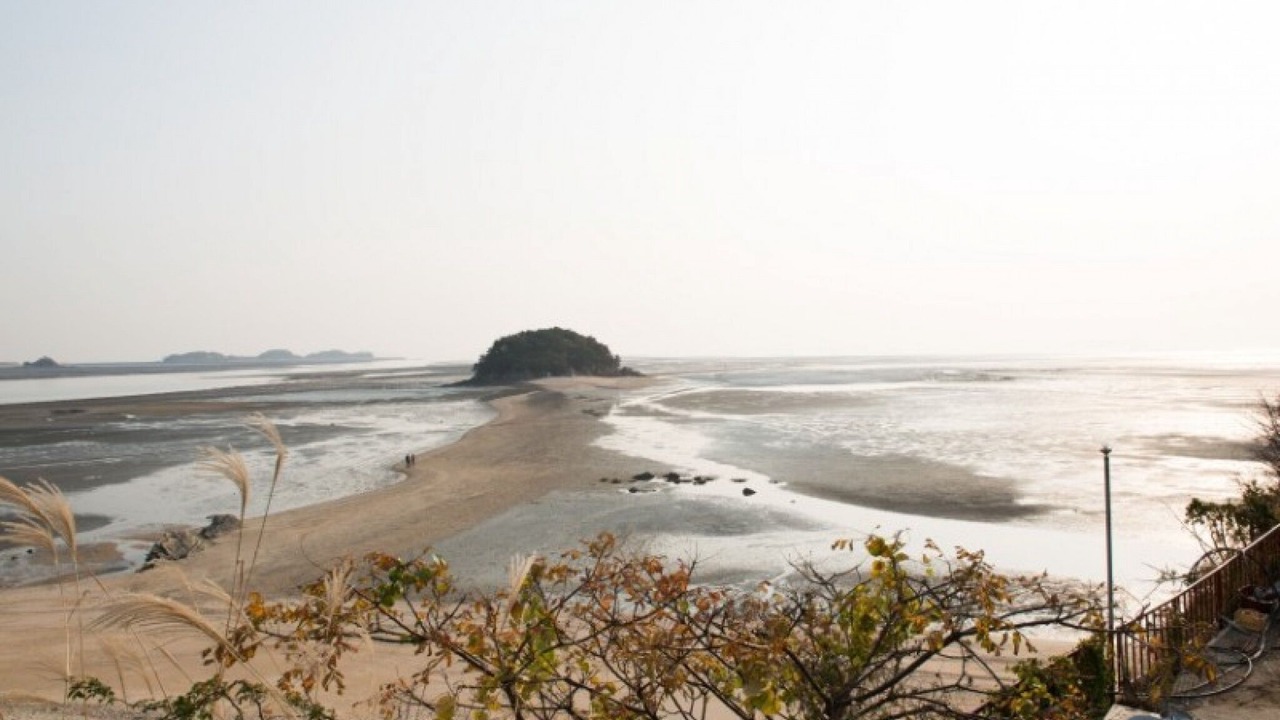 Photo of Others in Suwon