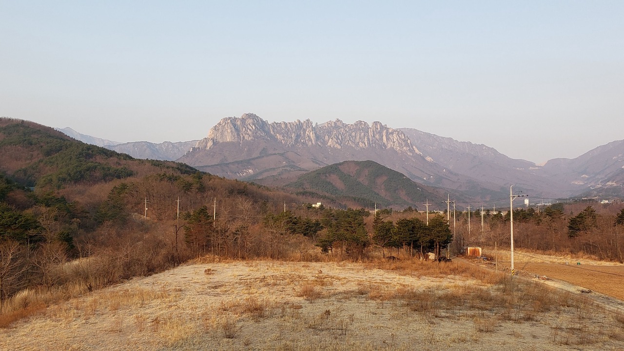 Photo of Others in Sokcho