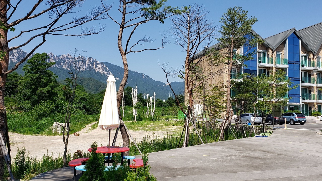 Photo of Outdoor in Sokcho