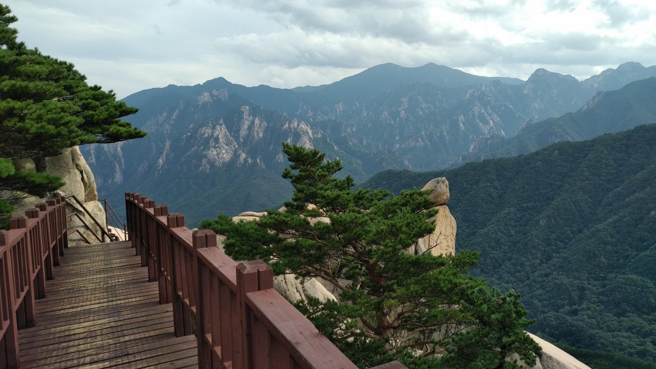 Photo of Others in Sokcho