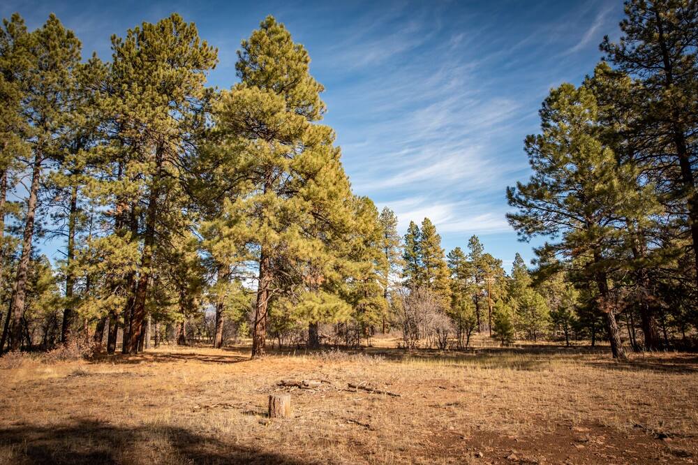 Photo of Others in Pagosa Springs