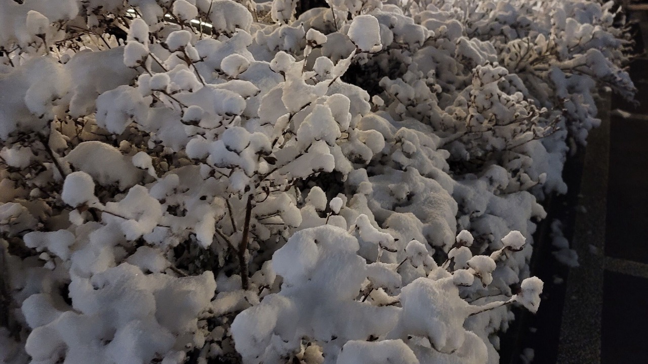 Photo of Outdoor in Sokcho