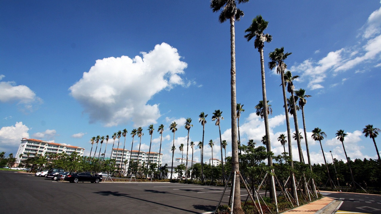 Photo of Outdoor in Hallim
