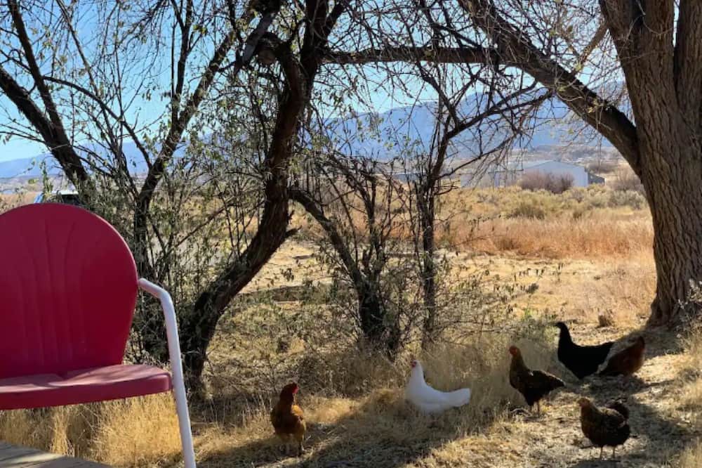 Photo of Outdoor in Cortez