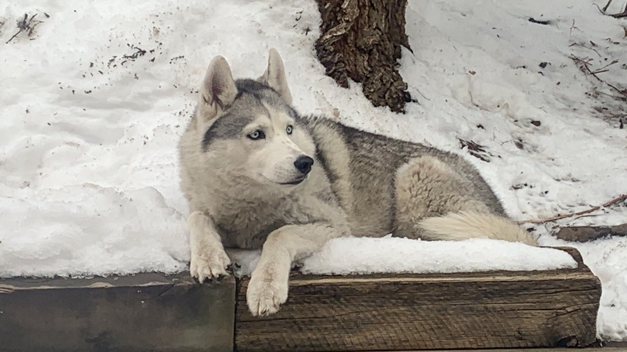 Photo of Others in Boulder