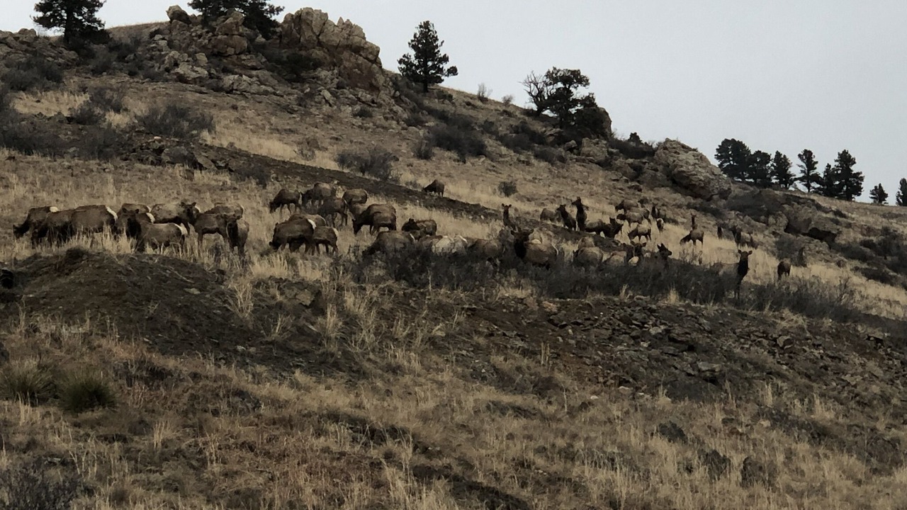 Photo of Others in Lyons