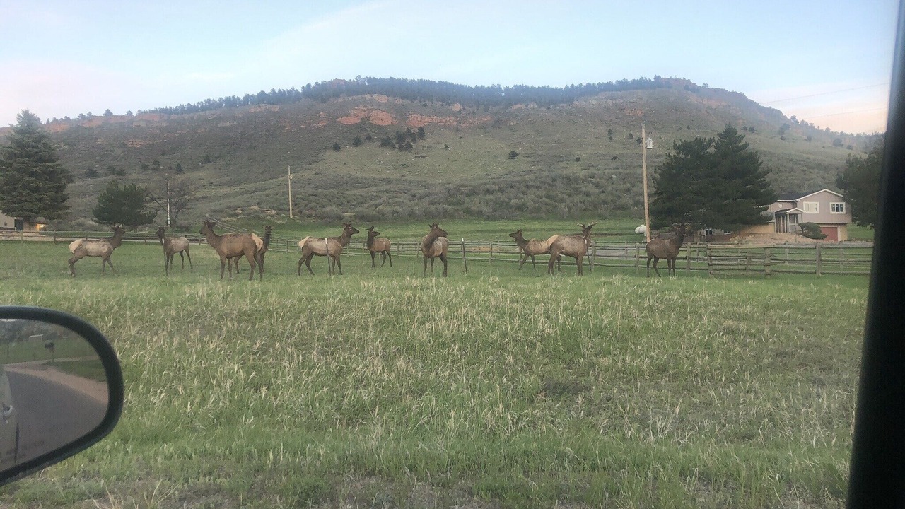 Photo of Outdoor in Lyons