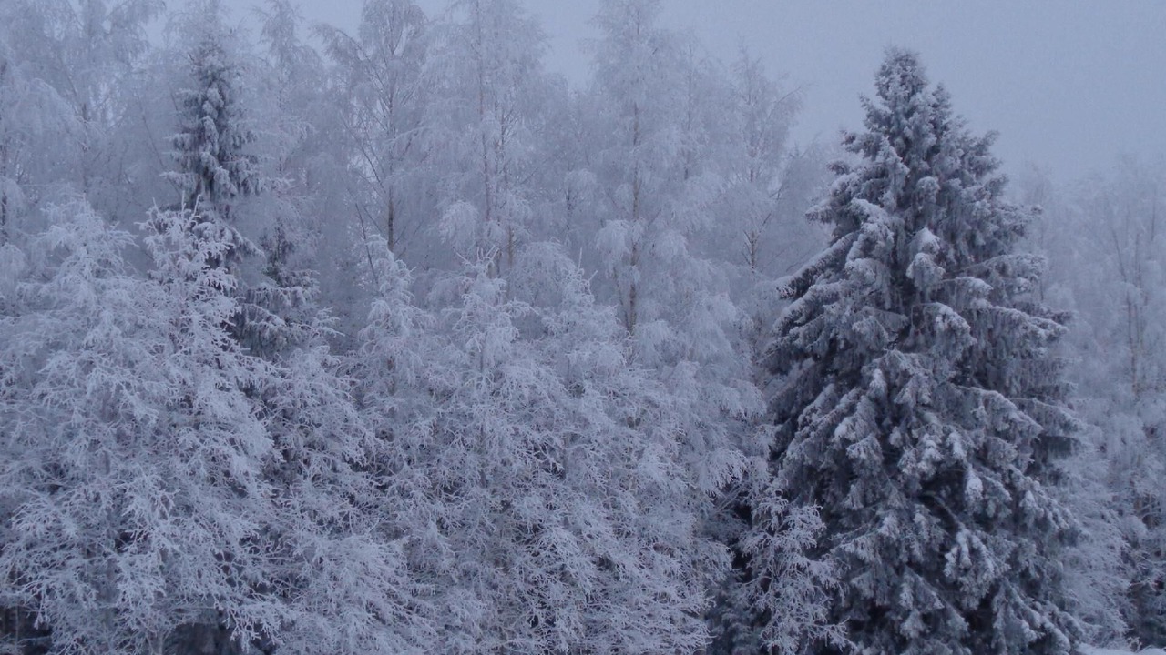 Photo of Outdoor in Lapinlahti
