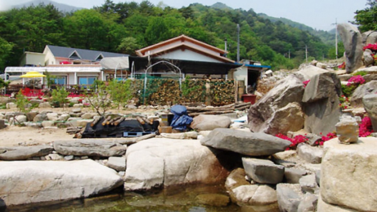Photo of Others in Gangneung