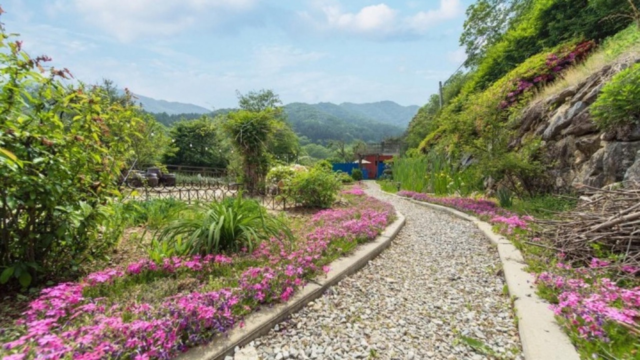 Photo of Others in Yongmun