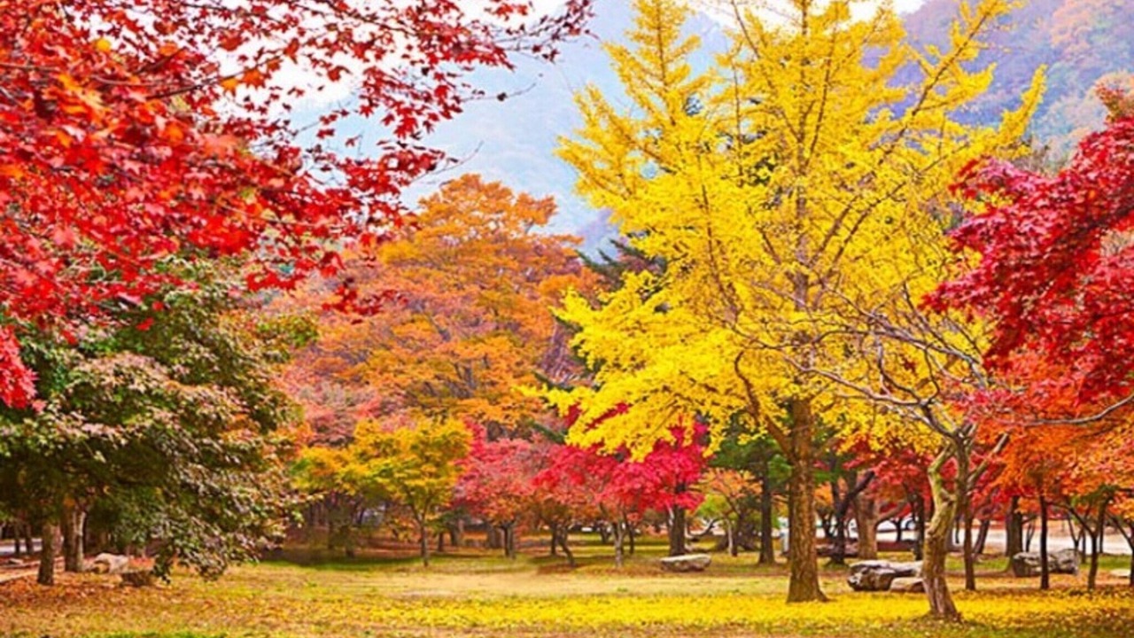 Photo of Others in Jeongeup