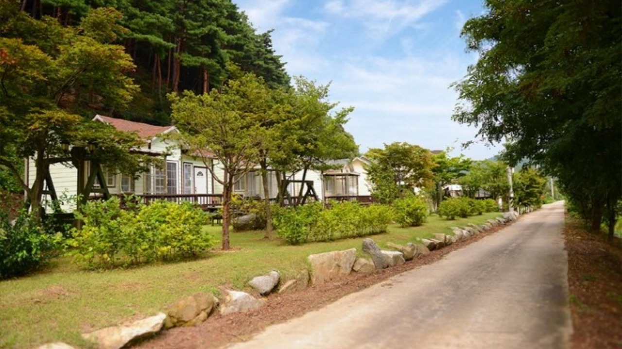 Photo of Others in Yangyang