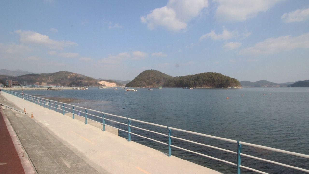 Photo of Others in Tongyeong