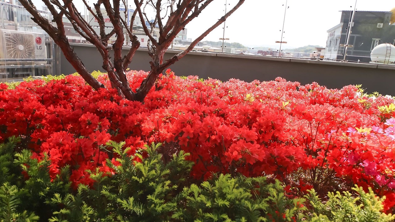 Photo of Bedroom in Yeongju