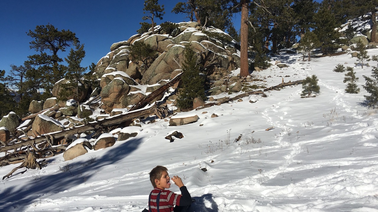 Photo of Others in Coal Creek Canyon