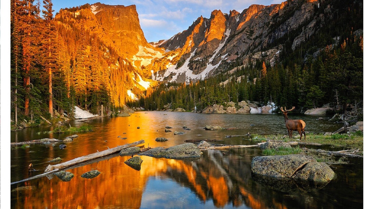 Photo of Others in Coal Creek Canyon