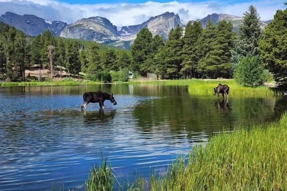 Photo of Outdoor in Lyons