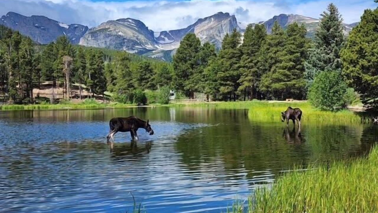 Photo of Outdoor in Lyons
