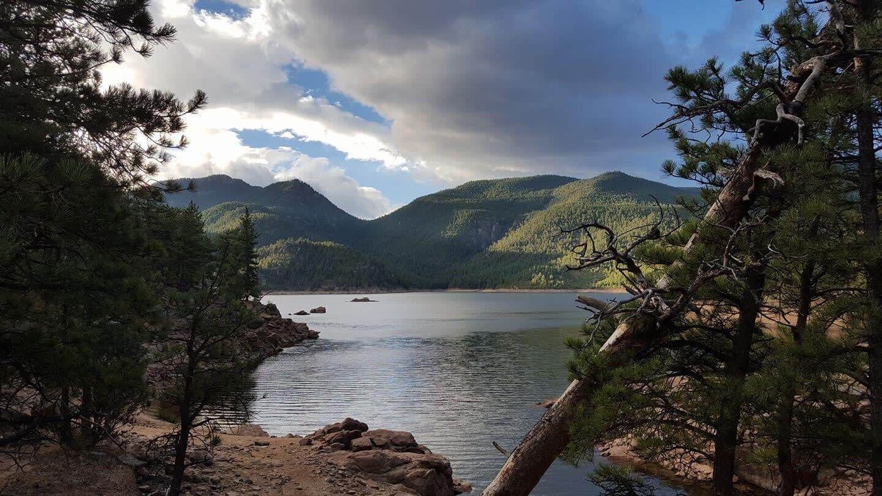 Photo of Others in Lyons