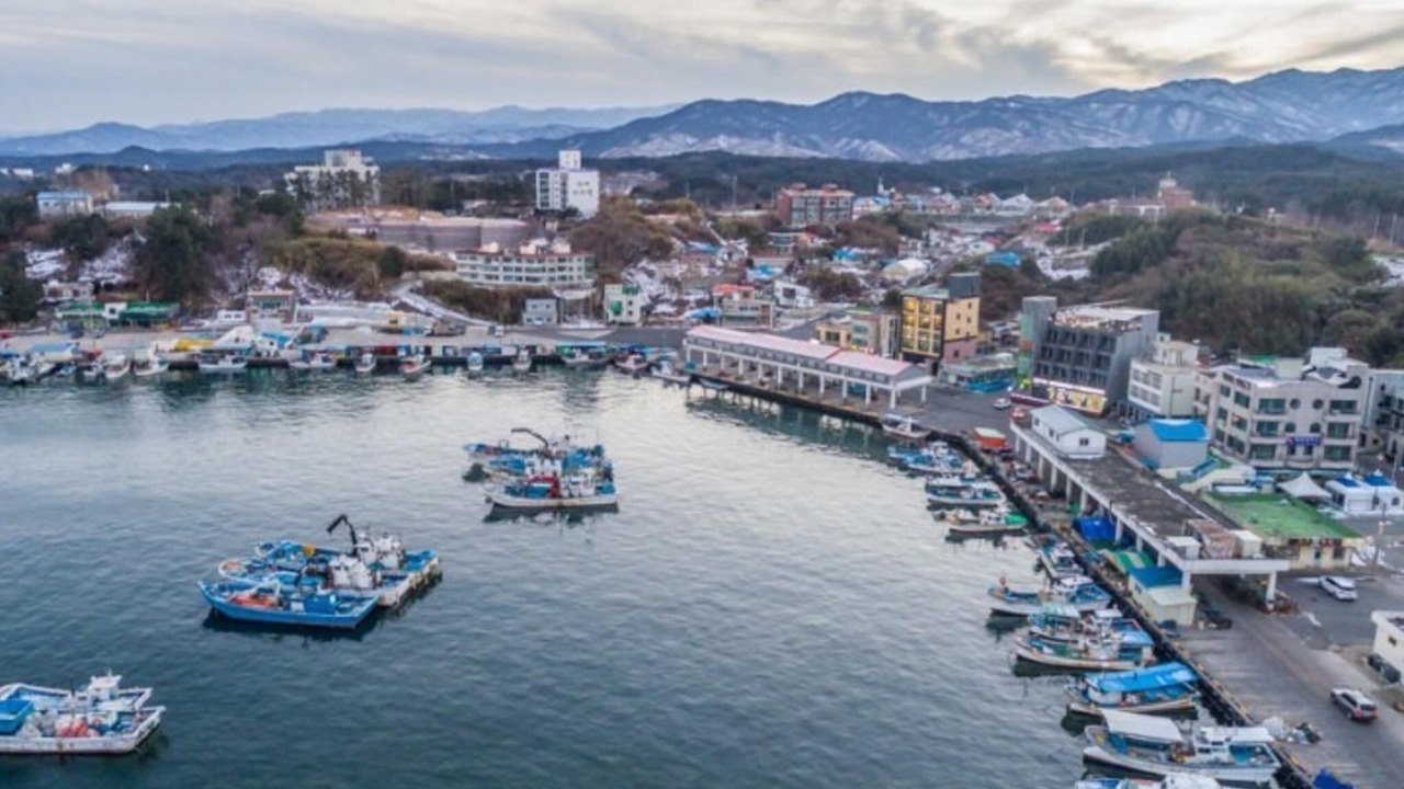Photo of Others in Yangyang
